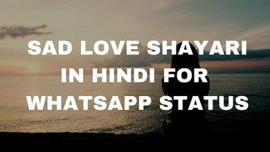 Sad Love Shayari in Hindi For WhatsApp Status