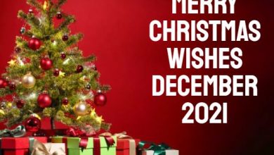 Merry Christmas Wishes December 2021