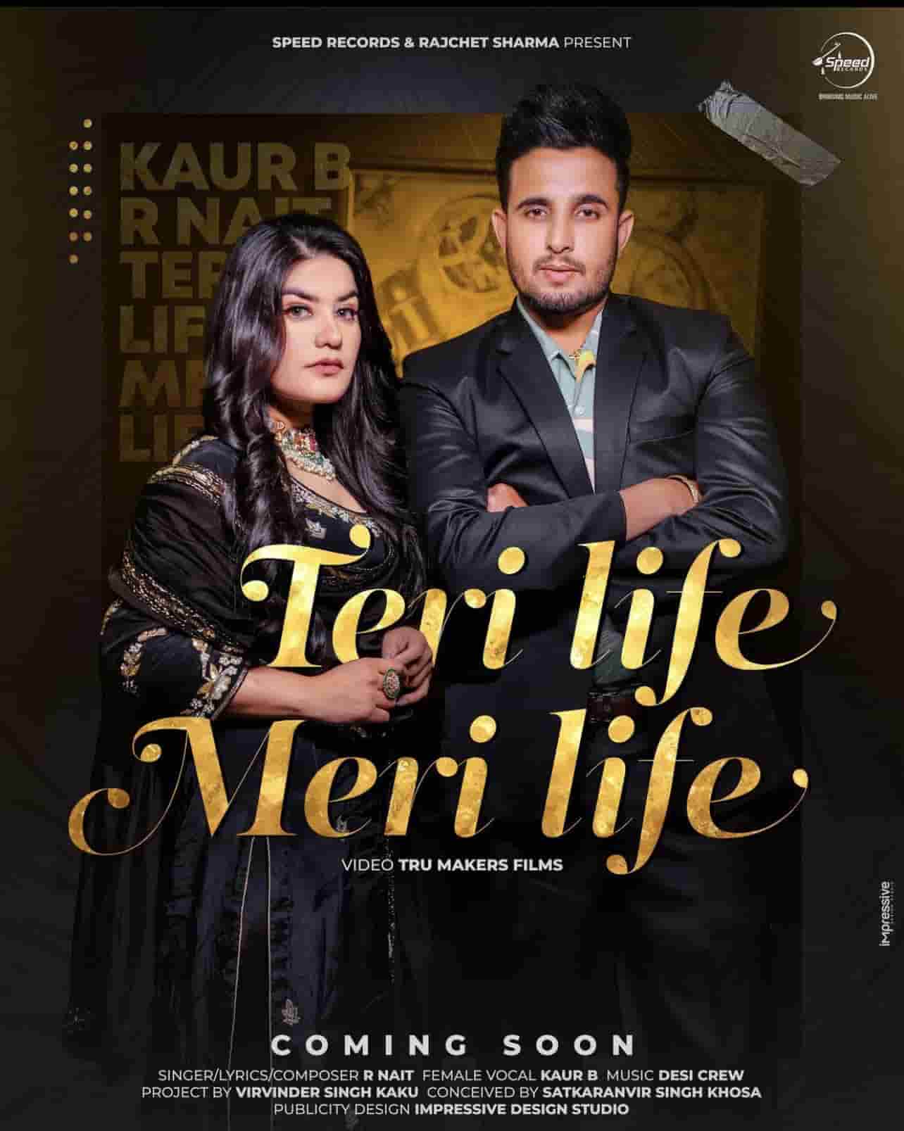 You are currently viewing Teri Life Meri Life Lyrics Kaur B I R Nait