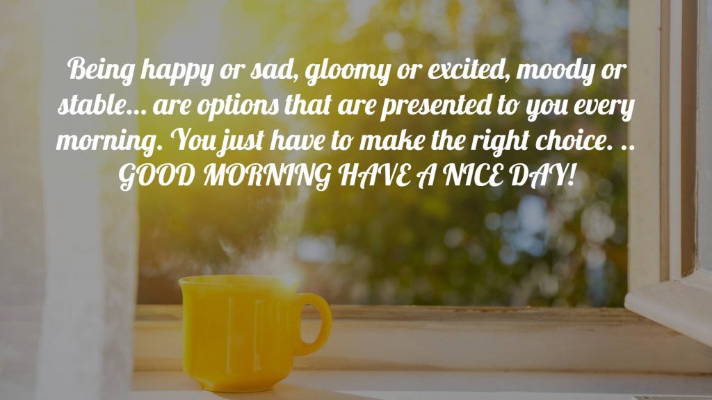 Being happy or sad, gloomy or excited, moody or stable… are options that are presented to you every morning. You just have to make the right choice. .. GOOD MORNING HAVE A NICE DAY!
