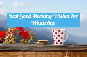 Read more about the article Best Good Morning Messages For WhatsApp |  Quotes