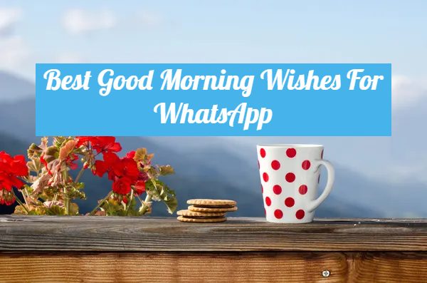 You are currently viewing Best Good Morning Messages For WhatsApp |  Quotes
