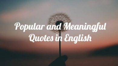 Popular and Meaningful Quotes in English